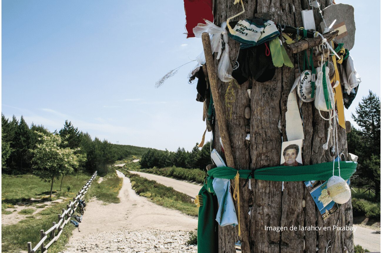 Imagen de un árbol decorado con recuerdos del Camino de Santiago
