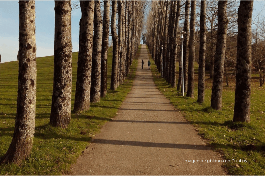 Imagen personas caminando por un camino en la naturaleza