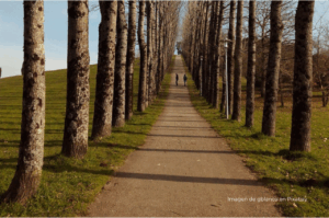 Imagen personas caminando por un camino en la naturaleza