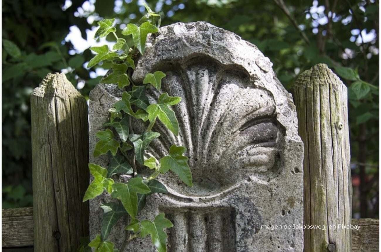 Imagen piedra con la forma de la vieira del Camino de Santiago
