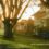 Imagen casas al amanecer