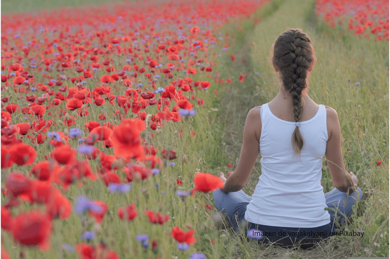 Imagen chica haciendo yoga