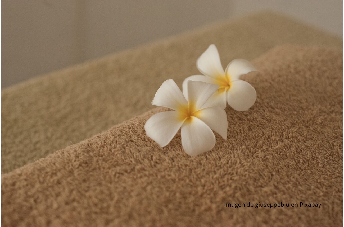 Imagen flor blanca con fondo marrón