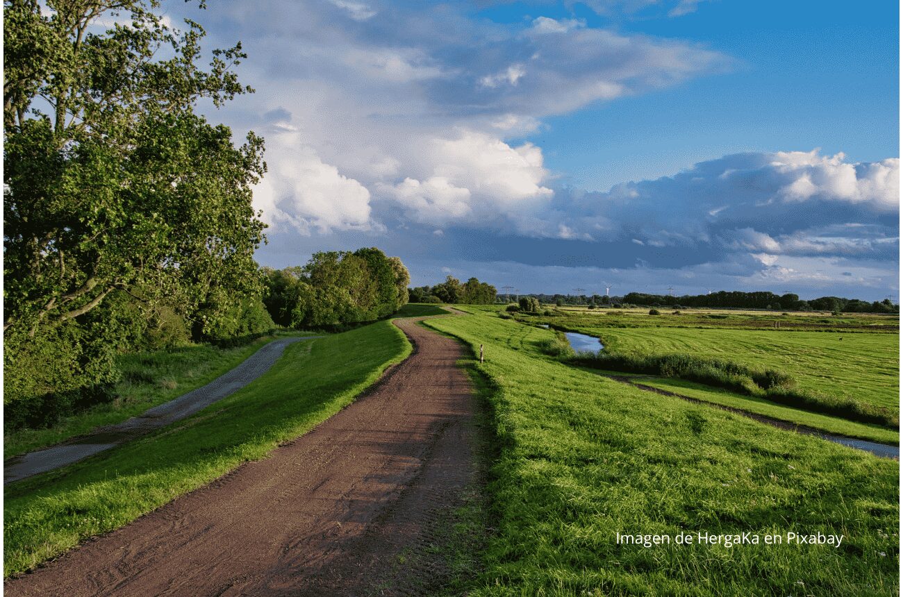 Imagen camino en la naturaleza